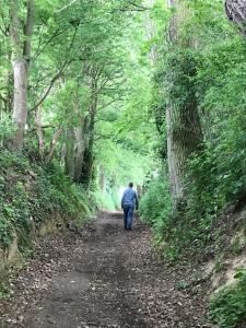 Klein Haasdal Studios