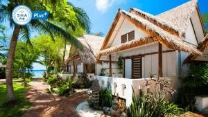 Fisherman Koh Tao - 涛岛