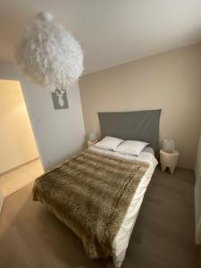 Appartements MSM locations : photos des chambres