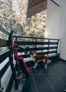 Max Holiday Apartment