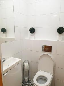 Royal City Hostel Old Town