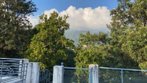 Malsi Hill View Homestays