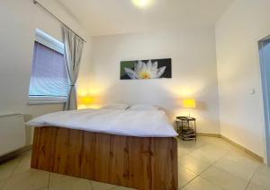 Booklovers apartment close to center