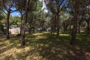 Villetta La Pineta by BarbarHouse