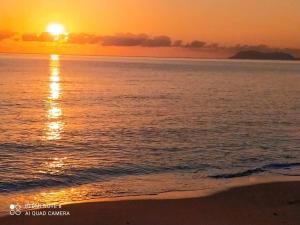 REEF RETREAT APARTMENTS PALM COVE Unit 13