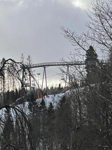 FeWo Erlebniskappe Winterberg im Fichtenweg