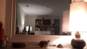 Sejours chez l'habitant Les ecureuils bourguignons : photos des chambres