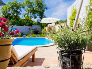 Villa Kažun with private pool and two gardens