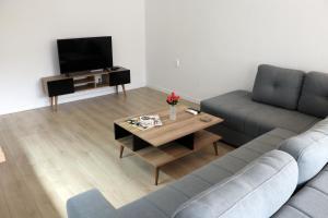 Spacious modern apartment Kisela Voda