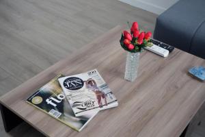 Spacious modern apartment Kisela Voda