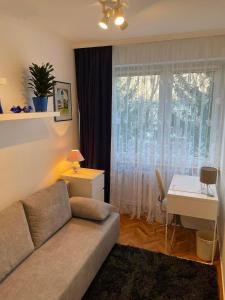 Apartament pod Pawiem