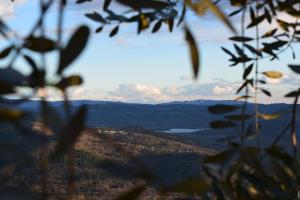 Apartman CASA MARŠIĆ 