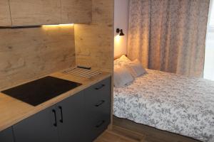 Apartament Chopina