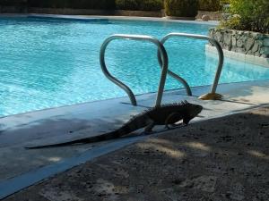 Chalet Condominio Campestre Rodadero Santa Marta wifi Piscina Amplia