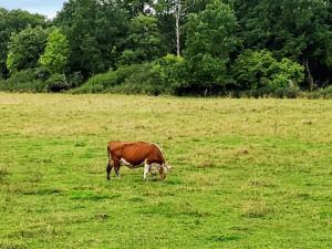 4 person holiday home in TORSHÄLLA-By Traum