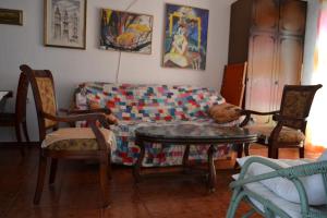 Apartments Mijuskovic