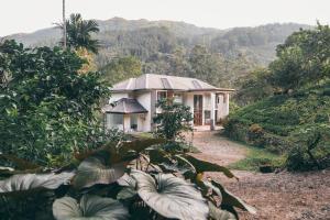 Flaming Tree Resorts