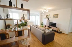 Shine24 - Spacious and bright apartment - NEW - Temerin