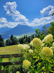 Ferienhaus Weitblick