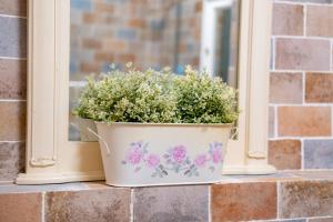 MyFlat Kormoran Wellness Apartments