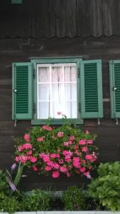 Kellerstöckl Petra - 德普因-艾森伯格