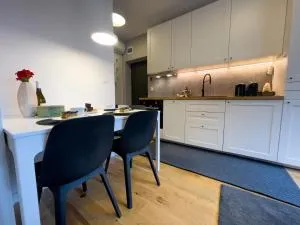 URBAN APARTMENTS STUDIO No 3A, FREE PRIVATE PARKING, Self CHECK-IN - 希维托赫洛维采