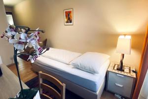 Single Room room in Pension Hotel Mariahilf
