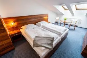 WELLNESS HOTEL FRYMBURK APARTMAN 502C - Platten