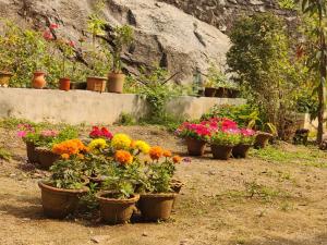 Nilachal Homes