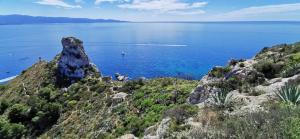 Flamingo's way Cagliari img25