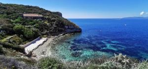 Flamingo's way Cagliari img28