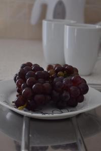 ONAR STUDIOS MILOS Junior