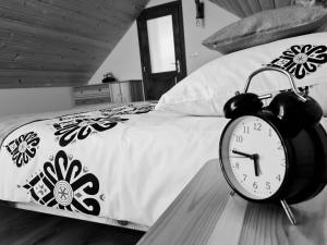 Apartament w Jałowcach