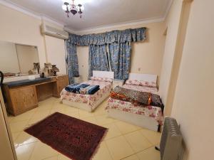 exceptional apartment