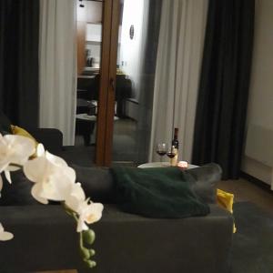 MK Apartments Zoned 2 Spa&Wellness