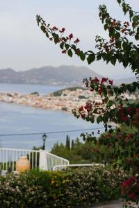 Kalidon Panorama Hotel Samos Greece