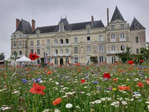 Hotels Chateau de Briancon : photos des chambres