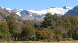 Calafates y lavandas