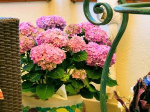 A due passi olbia img81