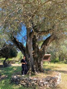 A due passi olbia img84