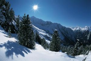 Ferienwohnung Bergland