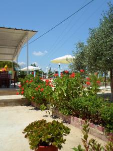 Villa Chrisanthi Lesvos Greece