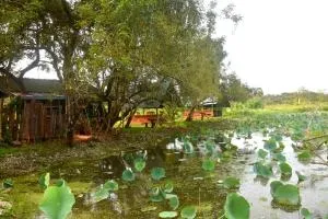 Meegahapokuna Resort - Katukeliyawa