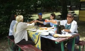 ferme équestre des abrons - Casseneuil