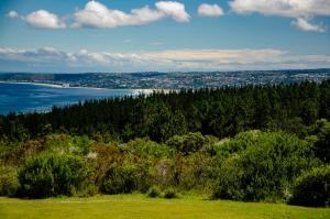 Greenhill Farm Manor House Plettenberg Bay - Private House Sleeps 8