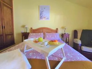 Complejo Turístico Rural Pinar de Amurjo - El Ojuelo