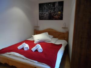 Appartements Prachtig familie appartement voor 6 personen in het hart van Argentiere, Chamonix Mont-Blanc : photos des chambres