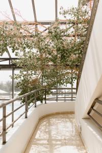 Hotels Hotel Les Corallines - Thalasso & Resort : photos des chambres