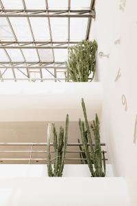 Hotels Hotel Les Corallines - Thalasso & Resort : photos des chambres