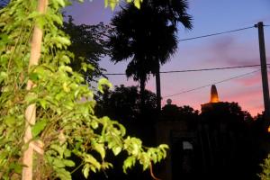 Meegahapokuna Resort